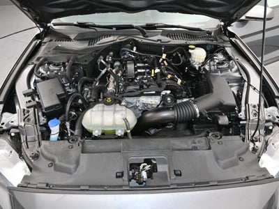 2021 Ford Mustang EcoBoost