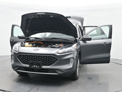 2021 Ford Escape Hybrid SEL